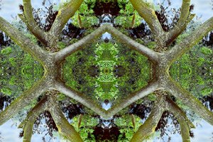 Unaturlig 65.2 (digitalt manipuleret foto)