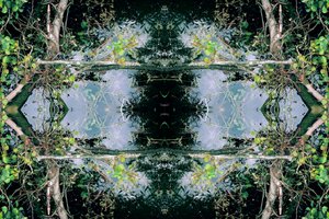 Unaturlig 73 (digitalt manipuleret foto)