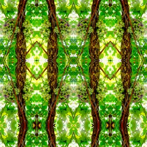Unaturlig 74 (digitalt manipuleret foto) af Giovanni Cafagna