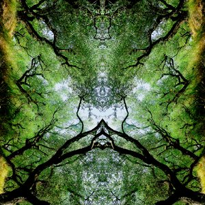 Unaturlig 75 (digitalt manipuleret foto)