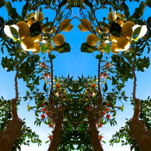 Unaturlig 78 (digitalt manipuleret foto) af Giovanni Cafagna