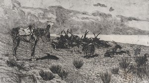 Æsel og geder på en strand om vinteren, 1884-1908. af Giovanni Fattori