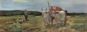 Oksevogn i den toscanske Maremma