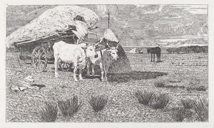 Okser spændt for en kærre (Maremma) af Giovanni Fattori