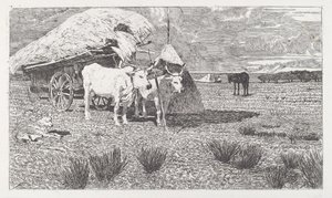 Okser sat i vognen (Maremma) [Bovi al carro (Maremma)] af Giovanni Fattori