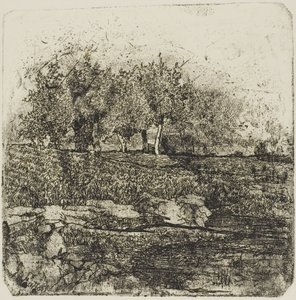 Træer på en eng af Giovanni Fattori