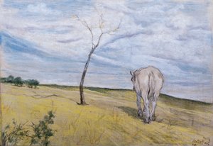 White Horse, af Giovanni Fattori (1825-1908) af Giovanni Fattori