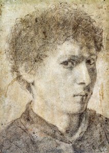 Hoved af en ung dreng, tegning af Gian Girolamo Savoldo (ca 1480-1548), sort blyant og hvidt kridt, Italien af Giovanni Girolamo Savoldo