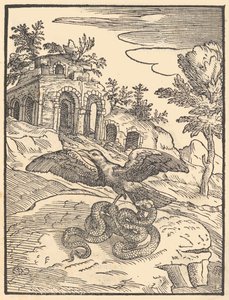 Fugl og slange, 1570. af Giovanni Maria Verdizotti