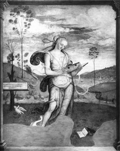 Clio af Giovanni di Pietro c.1450-1529 Giovanni di Pietro c.1450-1529