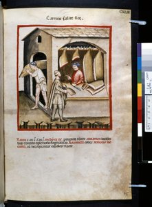 Theatrum sanitatis af Ububchasym de Baldach: 