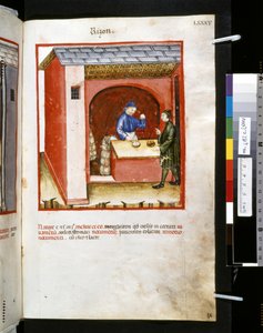 Theatrum sanitatis af Ububchasym de Baldach: 