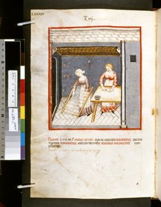 Theatrum sanitatis af Ububchasym de Baldach: 