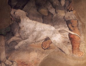 Figur af hund, detalje fra fresco af Girolamo Romanino (ca1484-1566), Sant