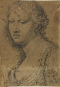 Buste af kvinde af Girolamo da Carpi