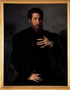 Portræt af en viril mand af Girolamo da Carpi