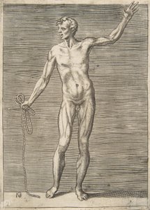 Mand set forfra, med et reb i højre hånd, 1500-tallet. af Giulio Bonasone