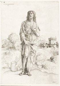 Sankt Johannes Døberen af Giulio Campagnola