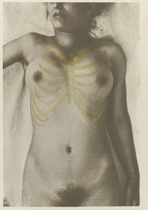 Anatomisk foto af een vrouwelijk lijk: 