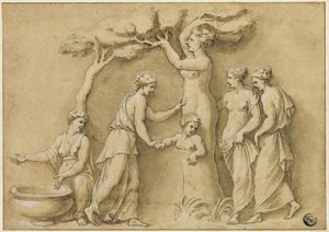 Adonis fødsel af Giulio Romano