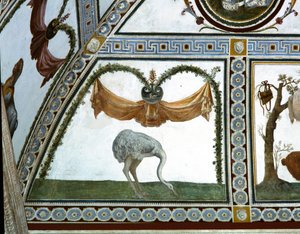 Camera con Fregio di Amorini Chamber of the Cupid Frieze detalje af en struds, fresko fra 1520