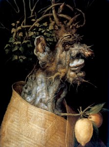 Vinter, 1563