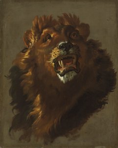 Løve, 1750