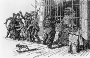Tartarin og løveburet, illustration til Tartarin på Alperne af Alphonse Daudet Milan af Giuseppe Porcheddu