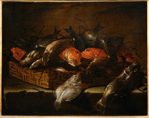 Stilleben med fisk ... af Giuseppe Recco