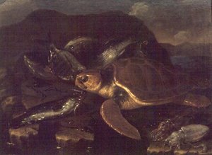 Stilleben med en fisk og en skildpadde