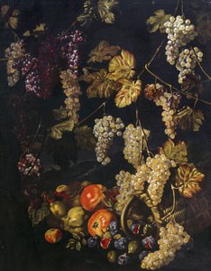 Stilleben med druer, vinblade og anden frugt, oliemaleri af Giuseppe Recco (1634-1695)