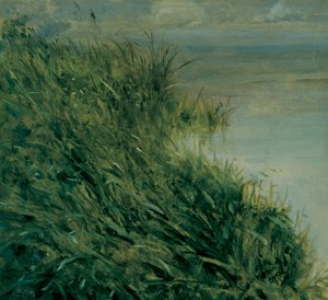 Undersøgelse af mose af Giuseppe or Joseph de Nittis