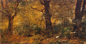 Undersøgelse af træ af Giuseppe or Joseph de Nittis