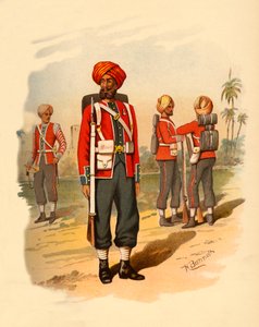 15. sikher, 1890. af Godfrey Douglas Giles