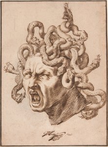Leder af Medusa