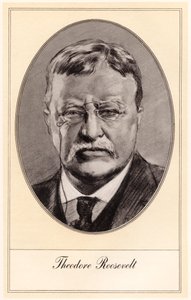 Theodore Roosevelt, USA