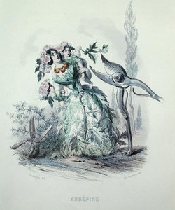 The Hawthorn, fra 