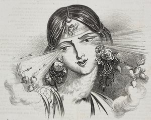 Feminin skønhed, karikatur af Jean-Jacques Grandville (1803-1847), litografi af Gaetano Riccio fra Poliorama Pittoresco, nr. 20, 24. december af Grandville