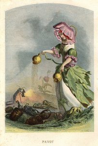 Illustration til 