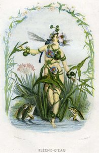 Illustration til 