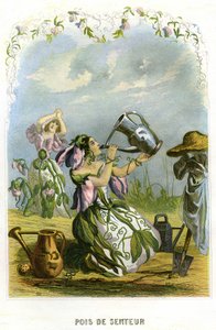 Illustration til 