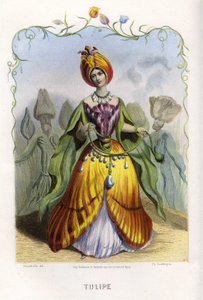 Illustration til 
