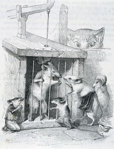 Fanget mus omgivet af sin splittede familie - ved Grandville af Grandville