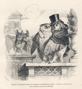 Flagermus lytter til en ugle og en ugle synger. Vignetter illustreret af JJ Granville. Gravering signeret Breviere i delen med titlen "Erindringer om en gammel krage" skrevet af PJ Stahl i "Scener fra dyrenes private og offentlige liv". Pa af Grandville