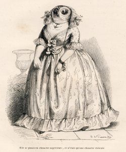 En ugle, der troede, at hun var overlegen, men som bare er latterlig. Illustrerede vignetter af JJ Granville. Gravering signeret Rouget i den del med titlen "Souvenirs d