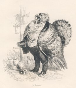 Tyrkiet som bankmand. Vignetter illustreret af JJ Granville. Indgravering signeret Tamisier i afsnittet med titlen "Erindringer om en gammel krage" skrevet af PJ Stahl i "Scener fra dyrenes private og offentlige liv". Paris, J. Hetzel og Paulin af Grandville
