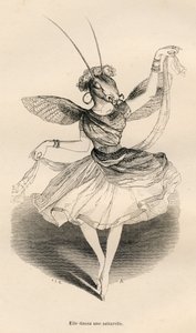 Hun dansede en saltarelle. Miniaturer illustreret af JJ Granville. Gravering signeret Andrew, Best og Leloir i delen med titlen "En sommerfugls eventyr" skrevet af PJ Stahl i "Scener fra dyrenes private og offentlige liv". Paris, J. Hetzel og Pau af Grandville