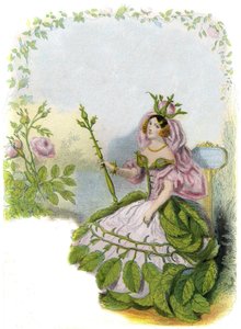 Illustration til 