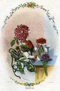 Illustration til 
