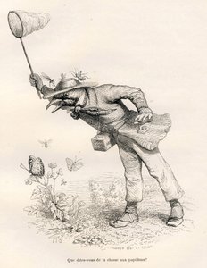 Fugle jagter sommerfugle. Vignetter illustreret af JJ Granville. Gravering signeret Andrew, Best og Leloir i delen med titlen "En ræv fanget i fælden" skrevet af Charles Nodier i "Scener af dyrenes private og offentlige liv". Paris, J. Hetzel af Grandville